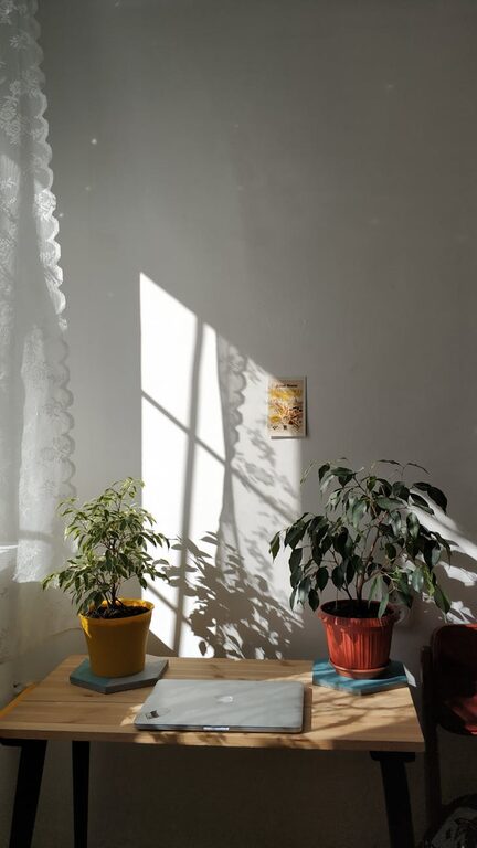 resized_111402